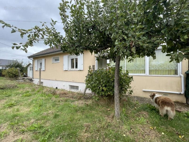 Maison de village à vendre dans Le Perche - photo 9