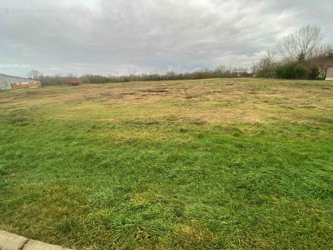 Terrain 1000 m² à Blaincourt-Sur-Aube  - photo 3