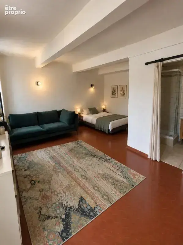 Appartement - photo 2