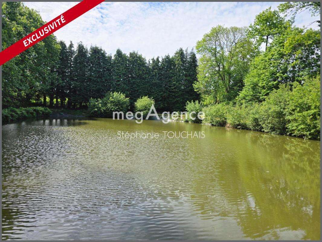 Propriété d’exception au cœur de la nature sur 3 ha – Saint-Mars-sur-la-Futaie - photo 3