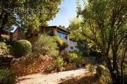 Photo 1 - Maison à MONTFORT-SUR-ARGENS