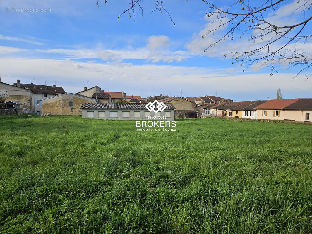 Commerce à SAINT-AMOUR