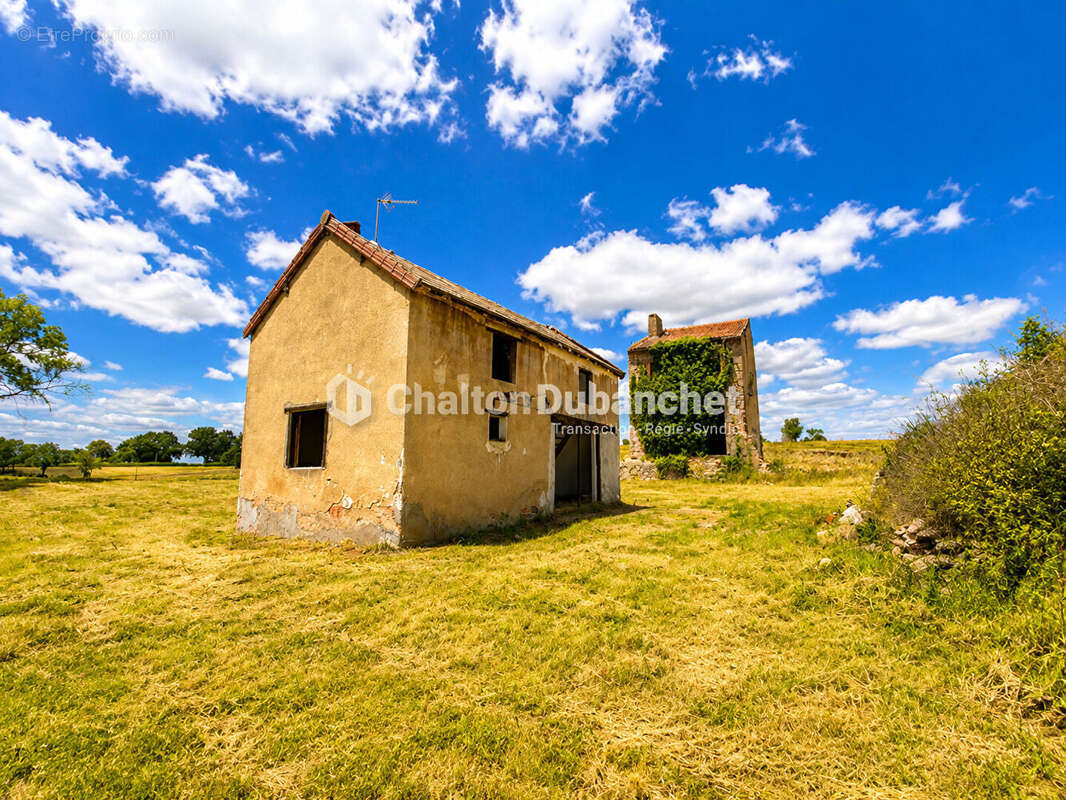 Terrain de 4576 m²  avec deux bâtiments en ruine à MONTAIGUET EN FOREZ - photo 3