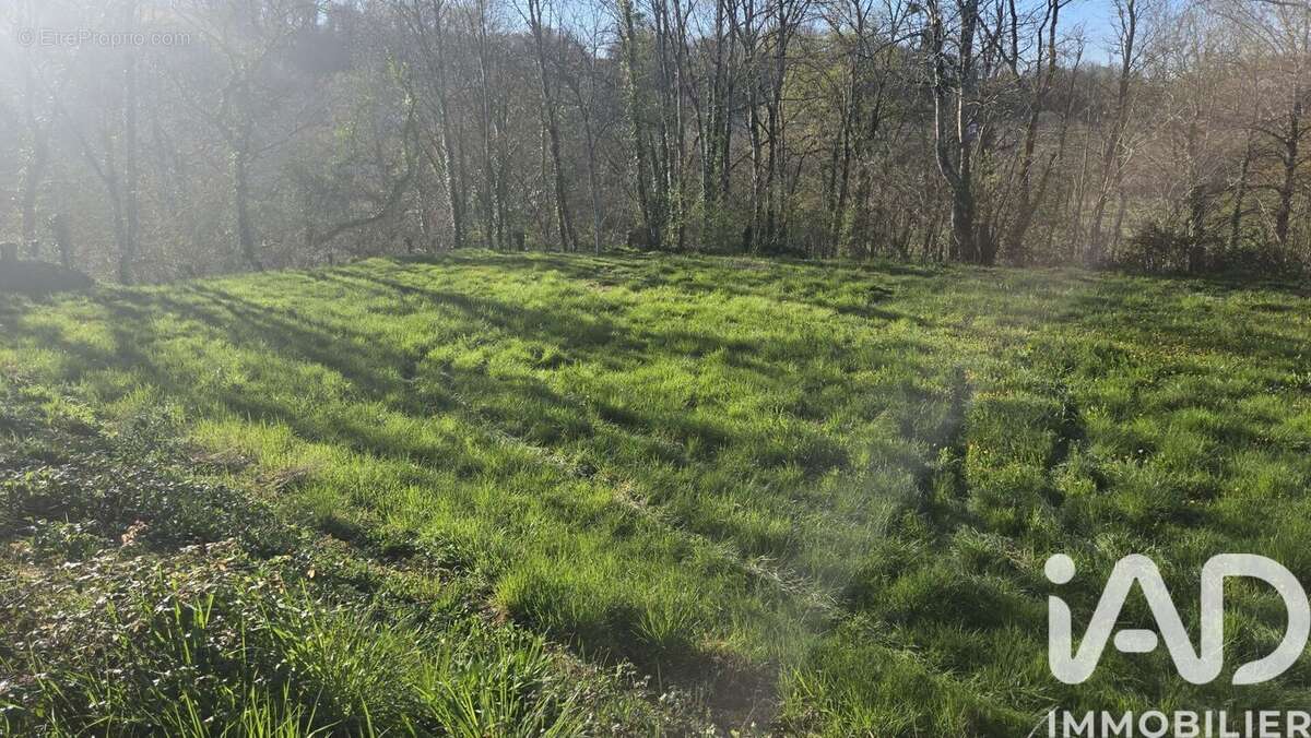 Terrain 953 m² à Moumour  - photo 3