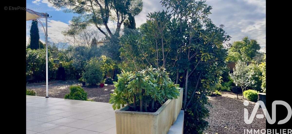 Photo 7 - Maison à SALLES-D'AUDE