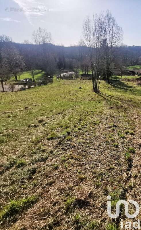 Photo 3 - Terrain à CAZALS