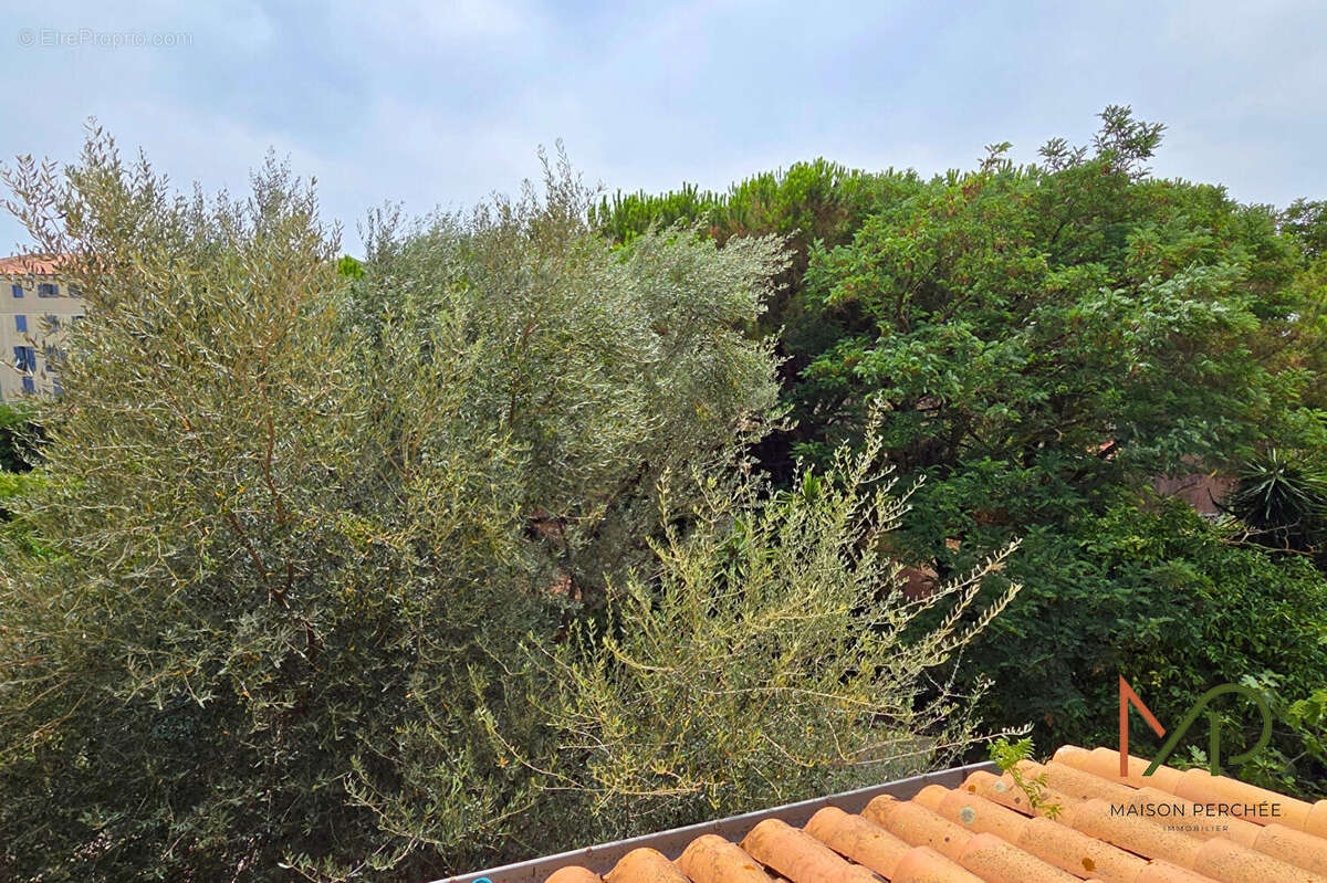 Maison Frejus 6 pièce(s) 95 m2 - photo 14