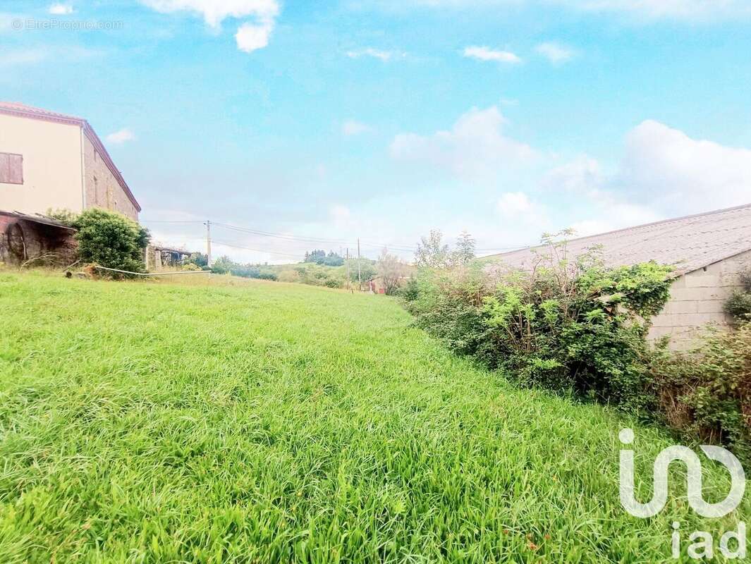 Photo 3 - Terrain à CELLIEU