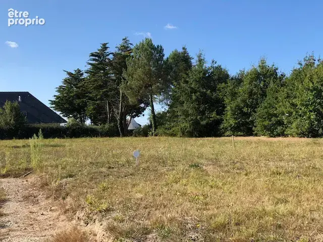 Theix Noyalo – 2 terrains – La grée du loch - photo 2