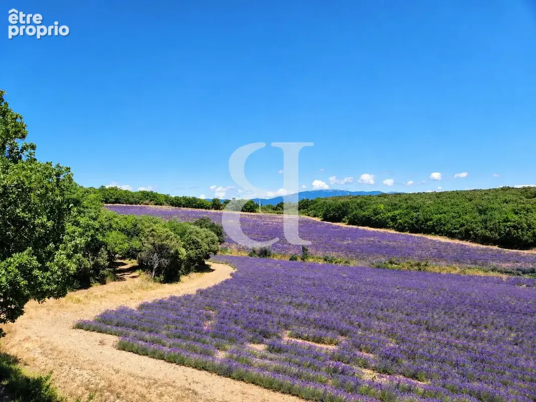 Maison 12 pièces 354 m² à vendre à Grignan (26230) - photo 6