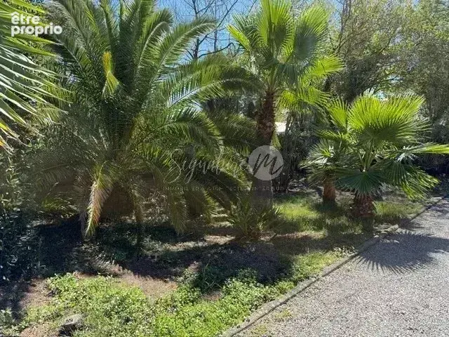 La hume - a 50m de la plage - photo 17