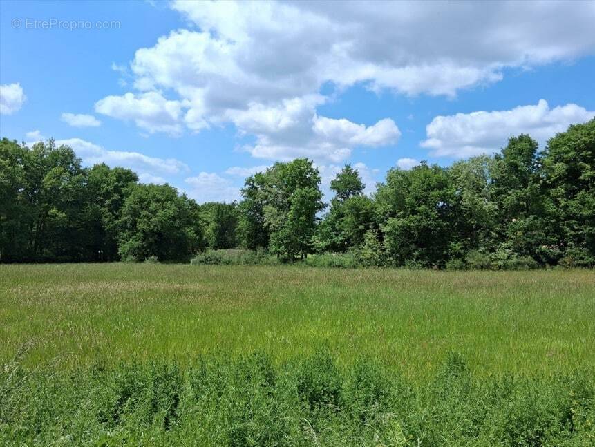 Terrain à LES LECHES