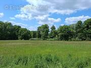 Terrain à LES LECHES