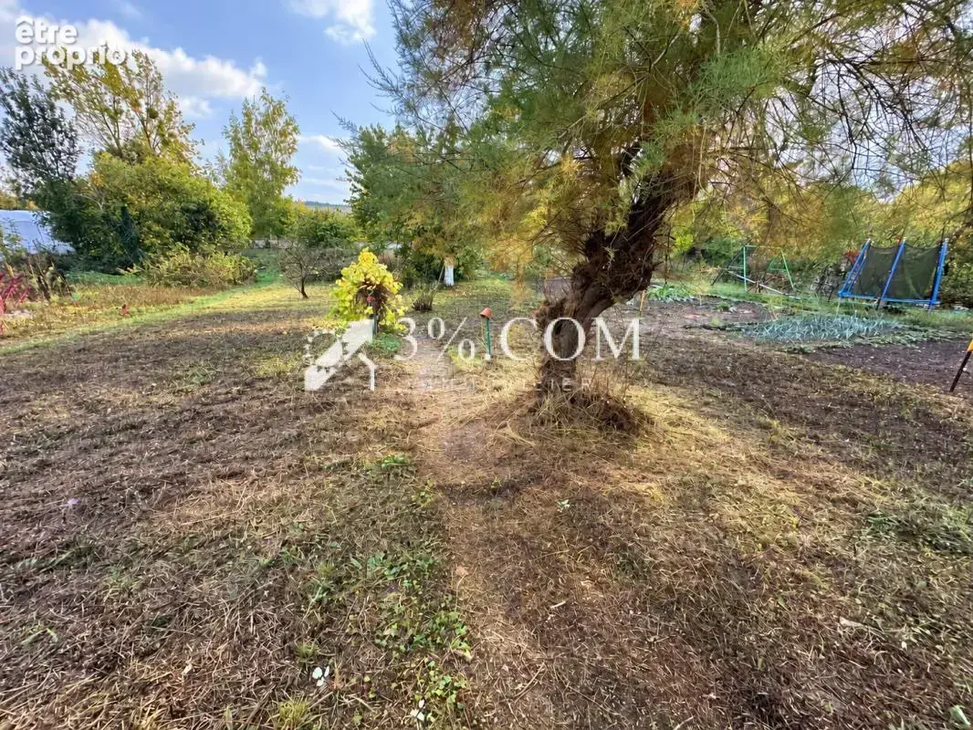 Maison de village - dependances - jardin 945 m2 - einville-a - photo 3