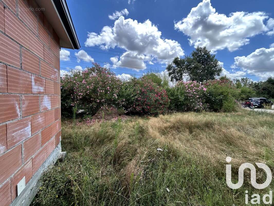 Photo 4 - Maison à BUZET-SUR-TARN