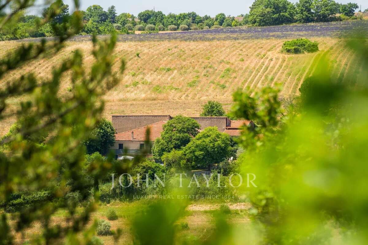 Domaine agricole à vendre à Roumoules,  Bastide Historique, Dépendances, Terres Agricoles et Ressources Naturelles - photo 16