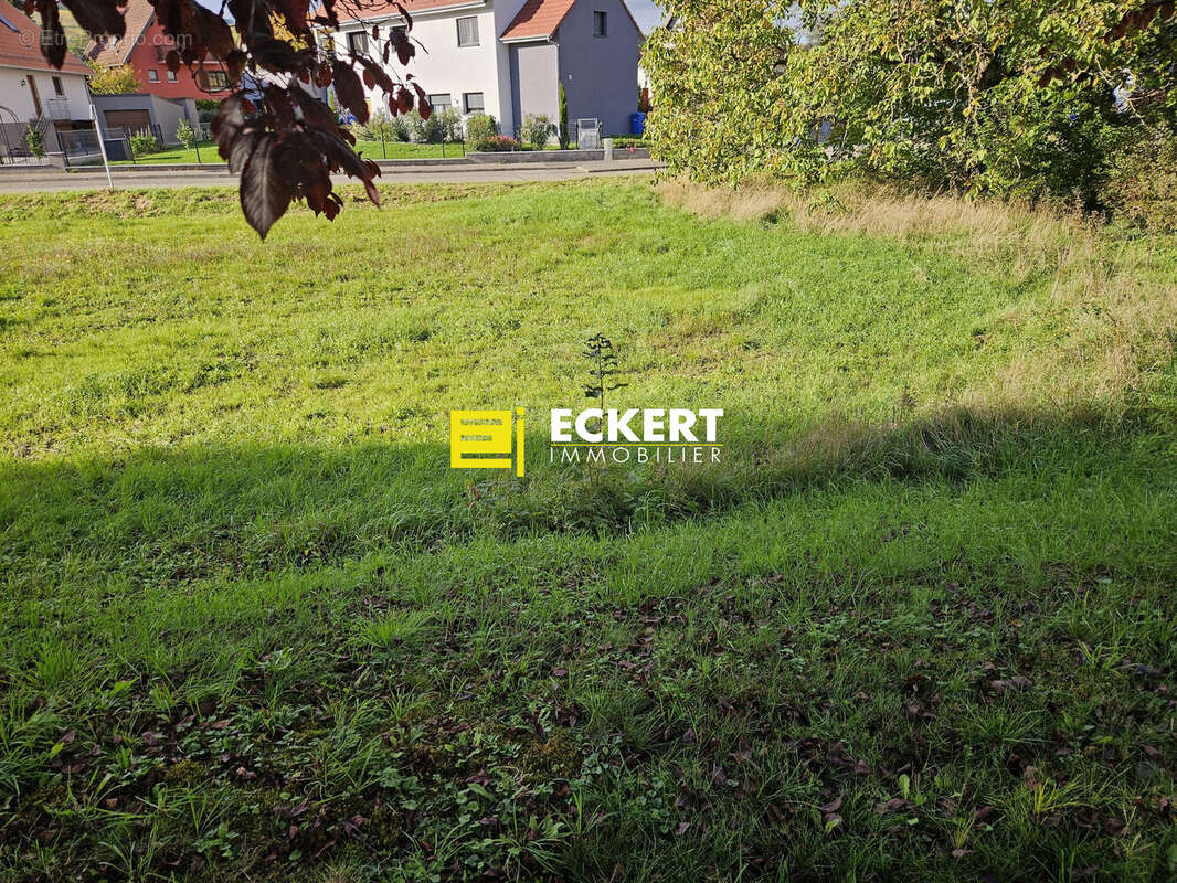 Terrain à MOLSHEIM