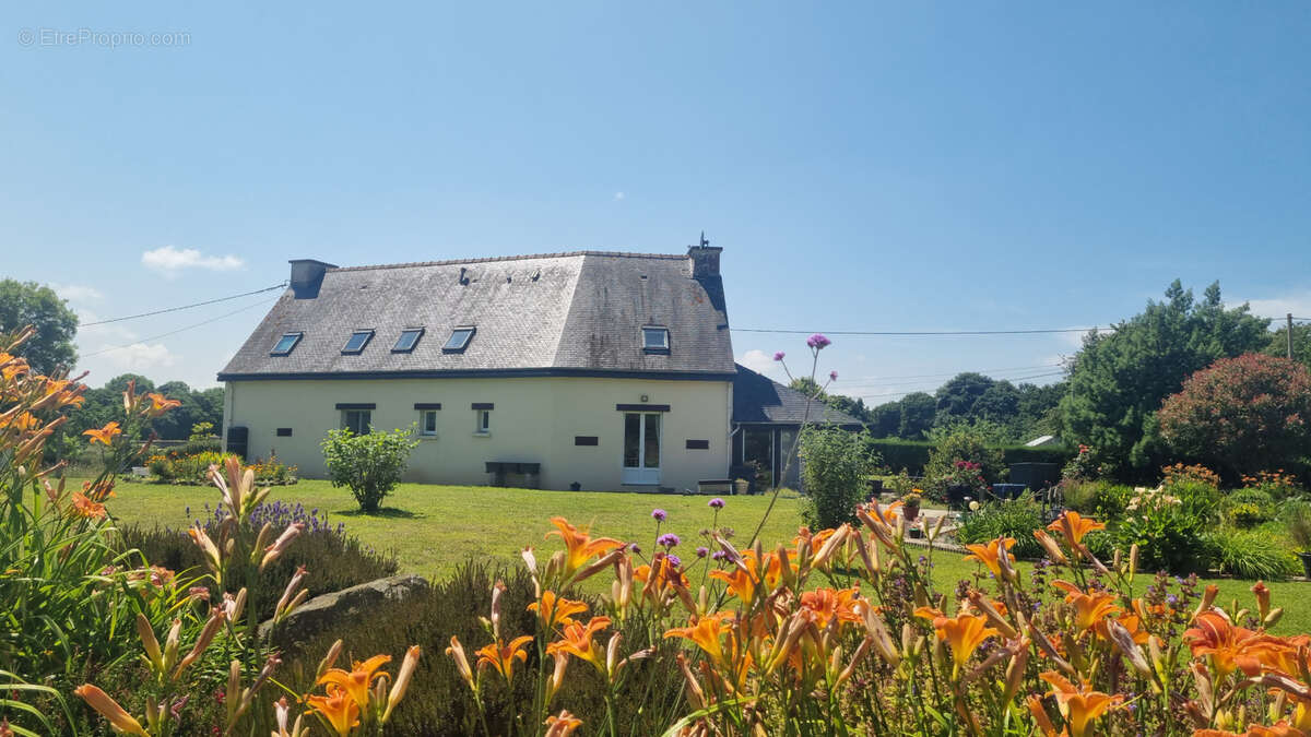 Maison à PLUDUAL