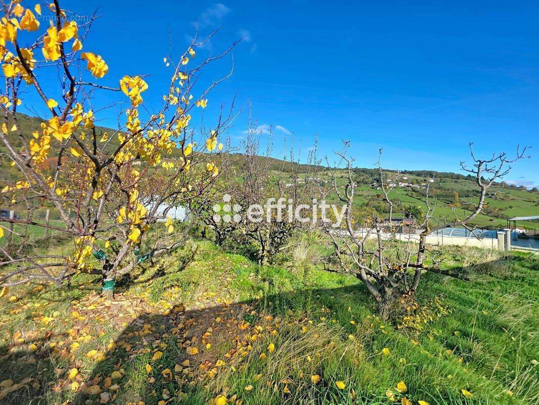 Maison à SAINT-ROMAIN-EN-JAREZ