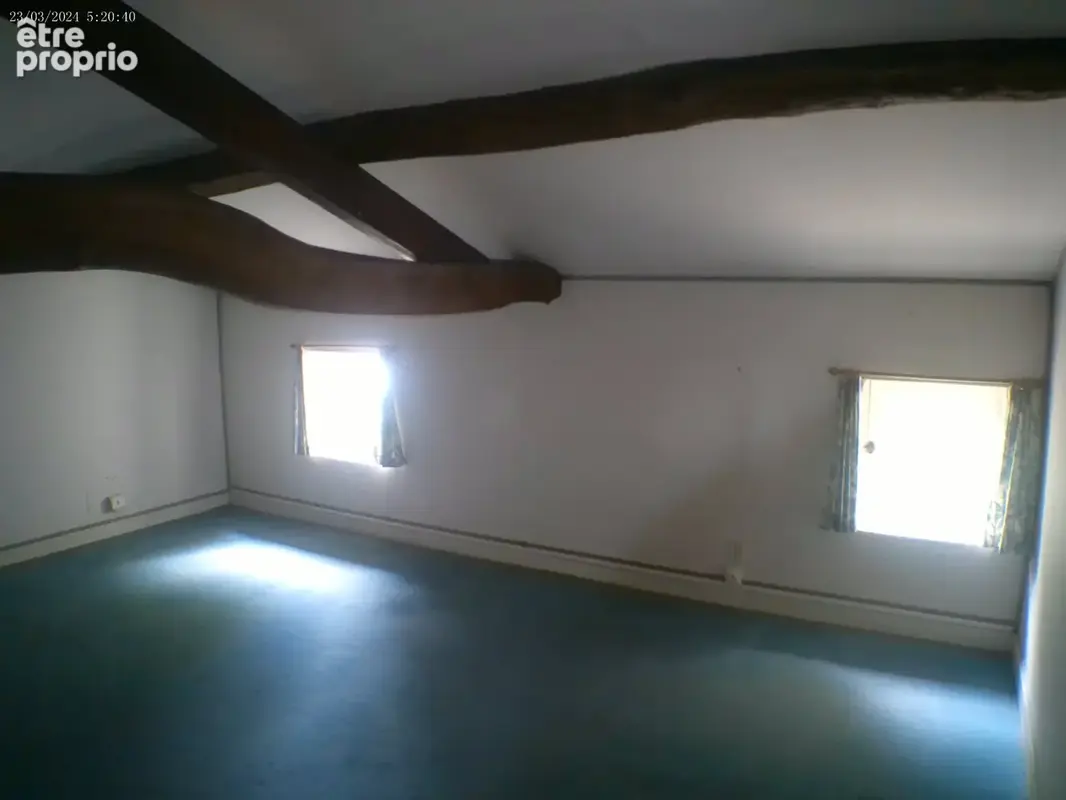 COGNAC - A Vendre Maison de Caractère SAINT BRICE - photo 44