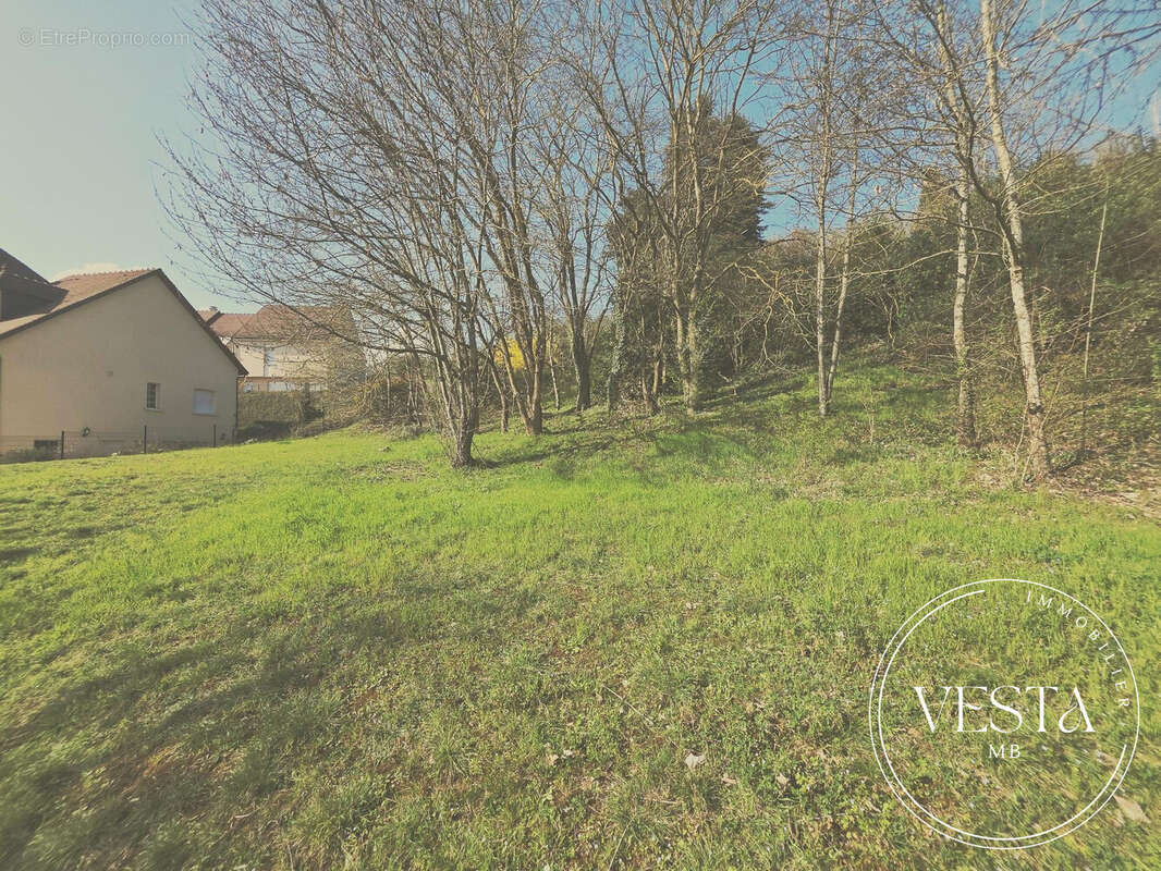 Terrain à TALANT