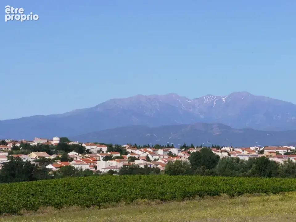Terrain 400 m² à vendre à Ponteilla (66300) - photo 2