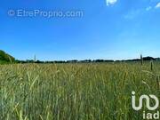 Photo 1 - Terrain à SAINT-MARTIN-L'ARS