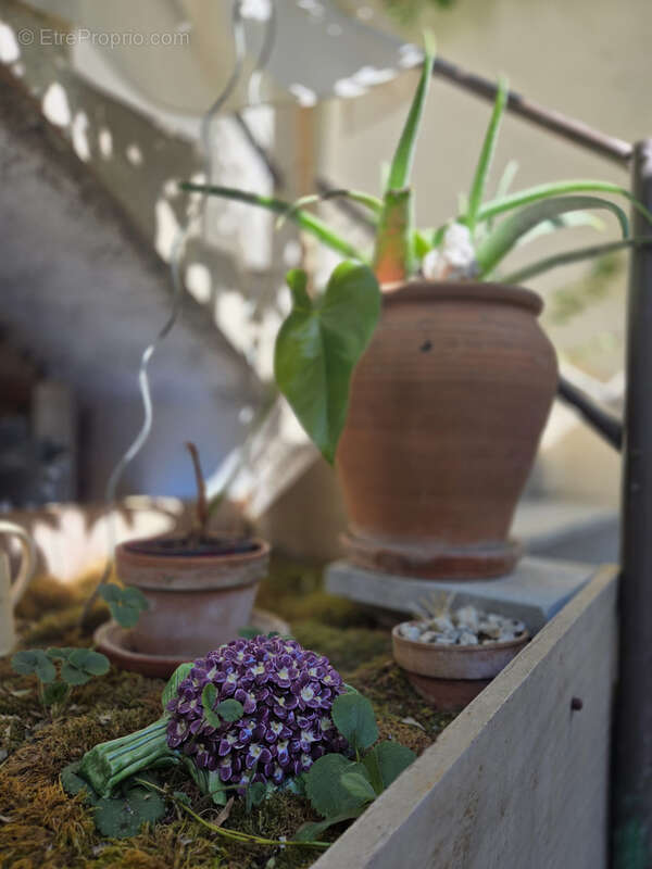 Maison à PUISSERGUIER