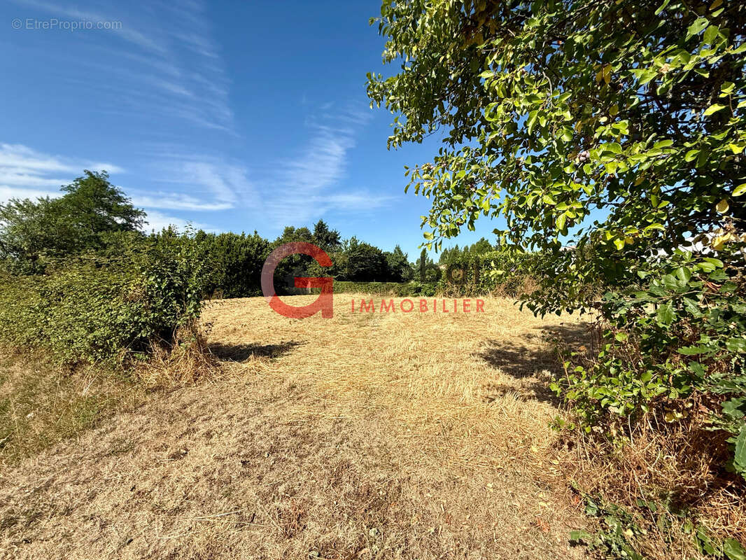 Terrain à LA CHAPELLE-BATON