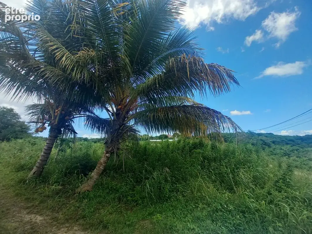 TERRAIN- Saint-François - photo 4