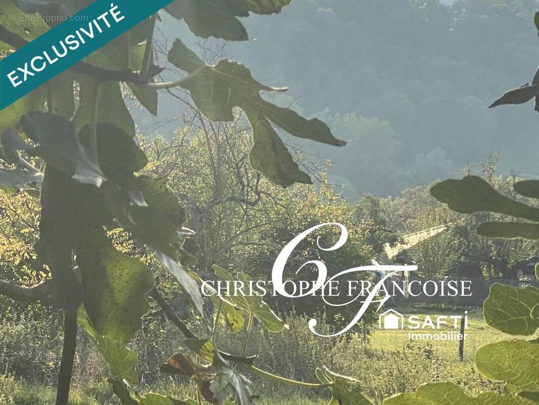 Photo 1 - Terrain à USINENS