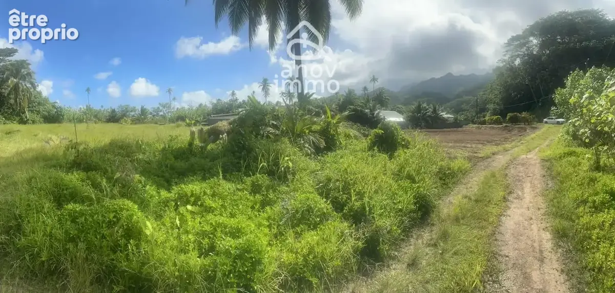 Terrain à Vendre à Tahiti   Cadre Tropical et Privilégié - photo 2