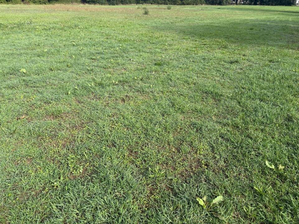 Terrain à AUCAMVILLE