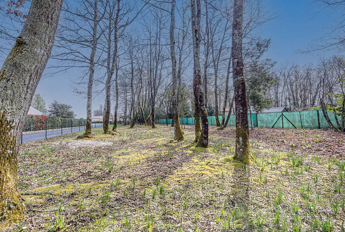 Terrain à BREUILLET