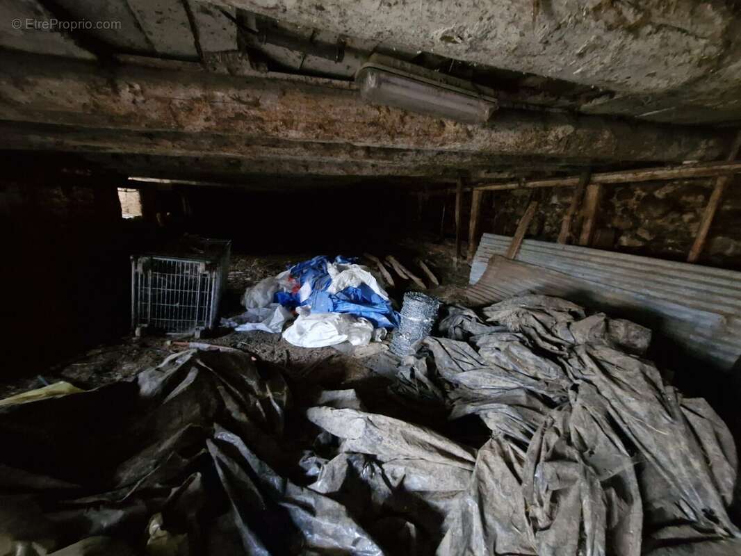 Maison à BESSE-ET-SAINT-ANASTAISE