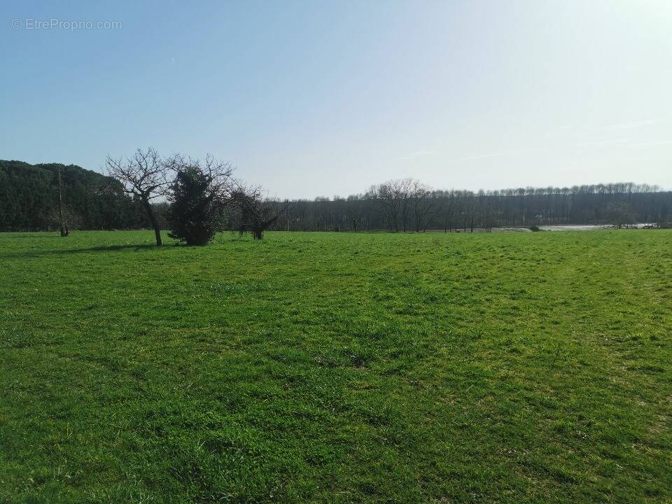 Terrain à SAINT-PIERRE-D'AURILLAC