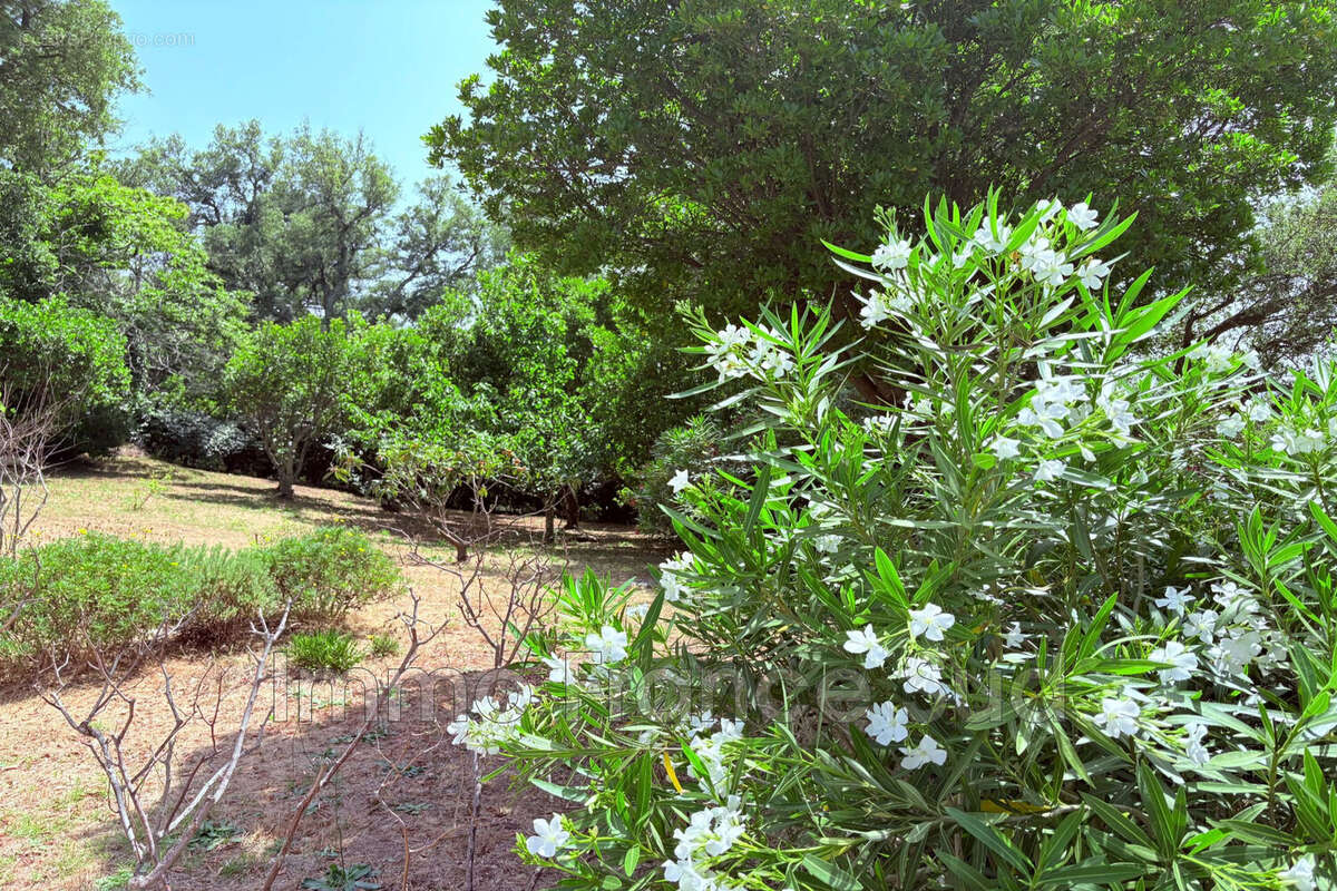 Maison à LA GARDE-FREINET