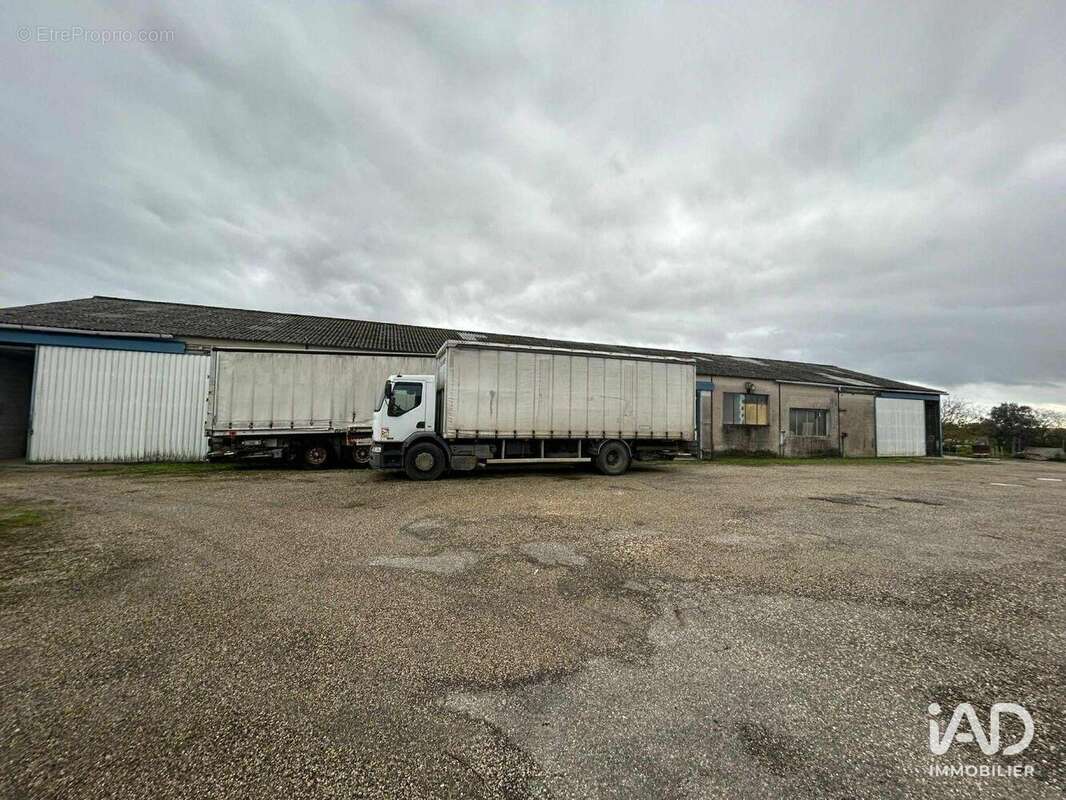 Photo 5 - Commerce à MEZIN