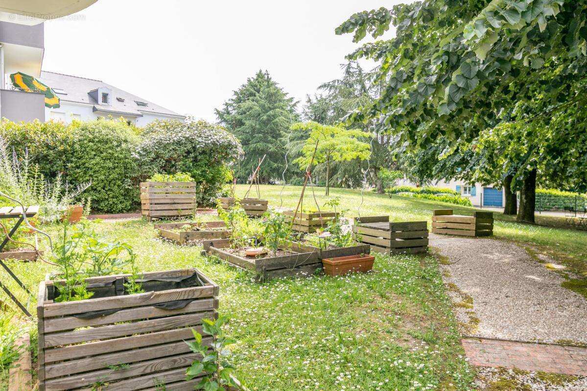 T3 de 72m² en duplex - photo 7