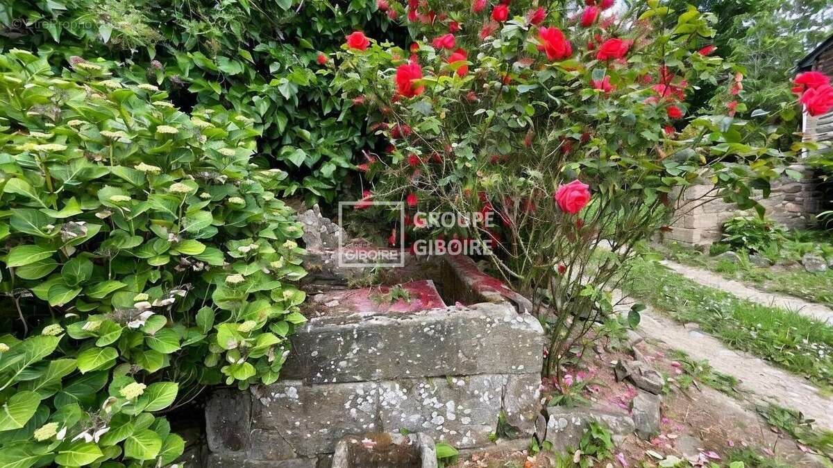 Maison à SAINT-SULIAC