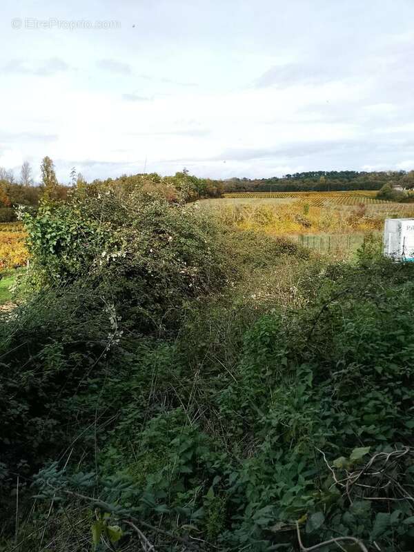 Photo 2 - Maison à BERSON