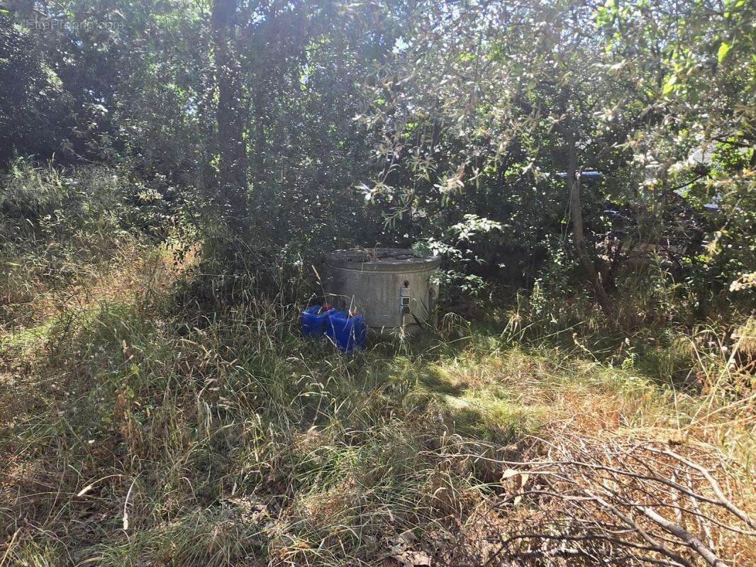 Maison à ARGELES-SUR-MER