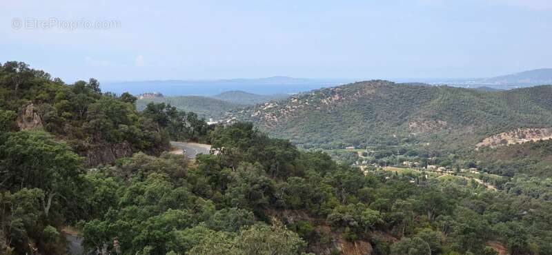 Terrain à BORMES-LES-MIMOSAS
