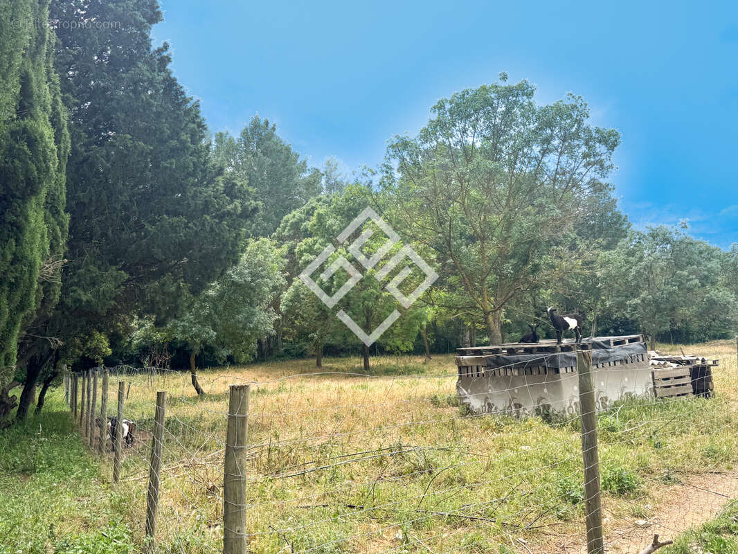 Maison à BIZE-MINERVOIS