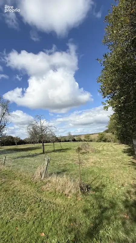 Grande maison avec dépendance - photo 31