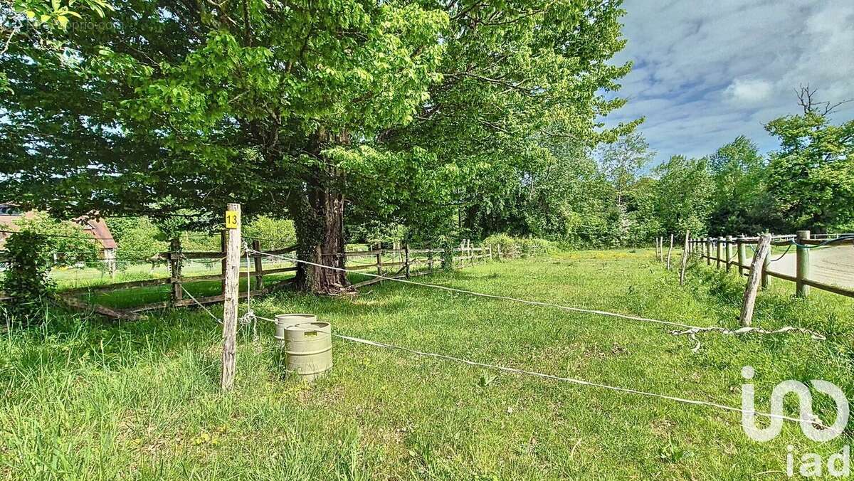 Photo 4 - Maison à VILLEMER