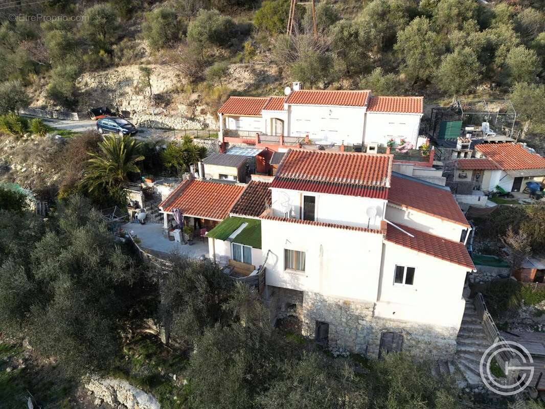 Propriété avec deux maisons et studio – 7 500 m² de terrain - route de l'Escarène - PEILLE - photo 17