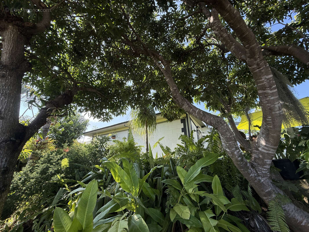 Maison à SAINT-PAUL