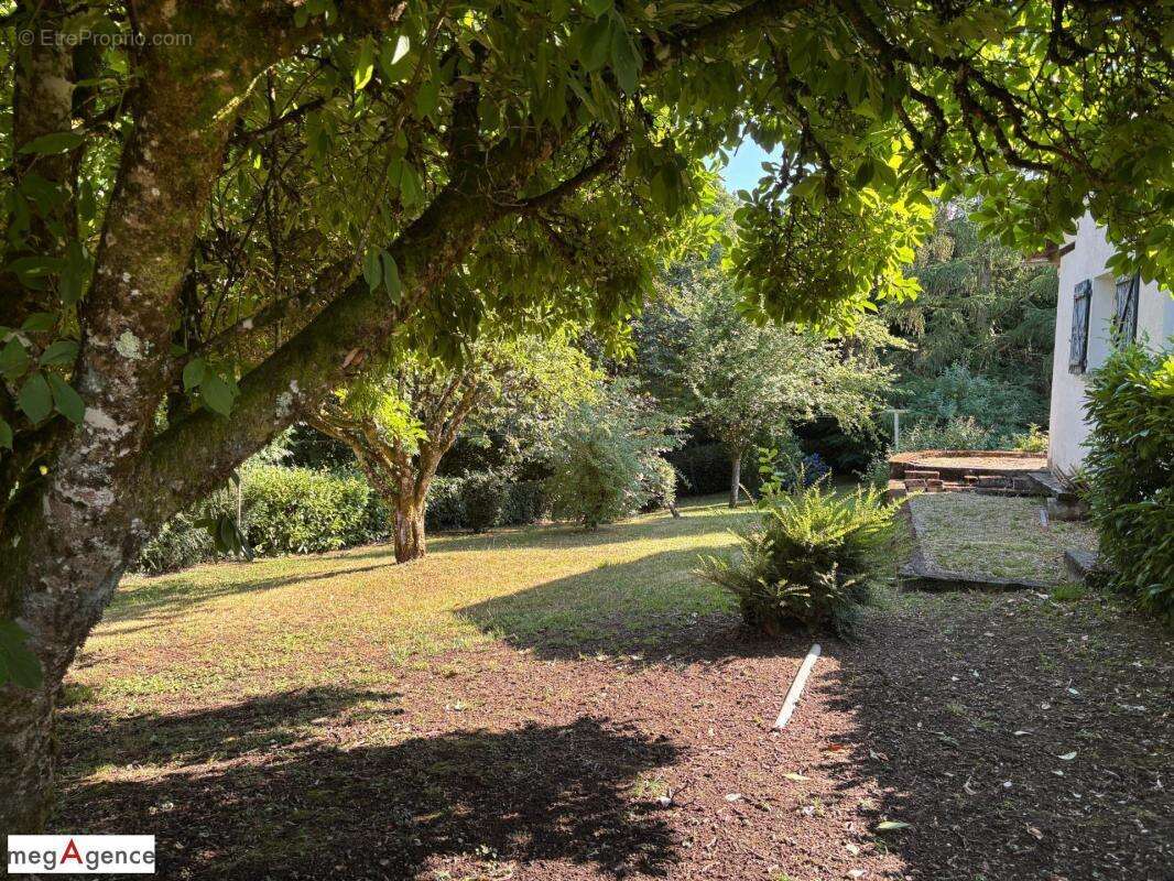 Maison familiale avec parc arboré de 1 804 m² – Entre Brive et Tulle - photo 6