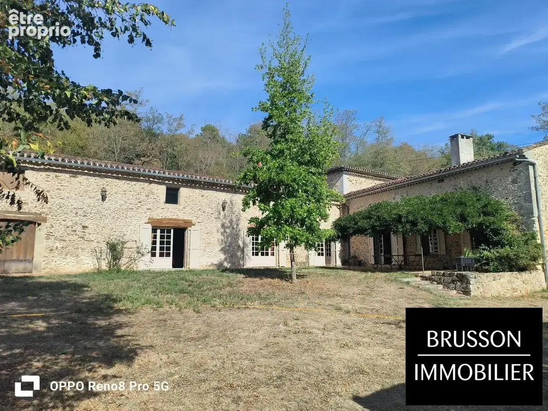 Maison 11 pièces 462 m² à vendre à Burlats (81100) - photo 2